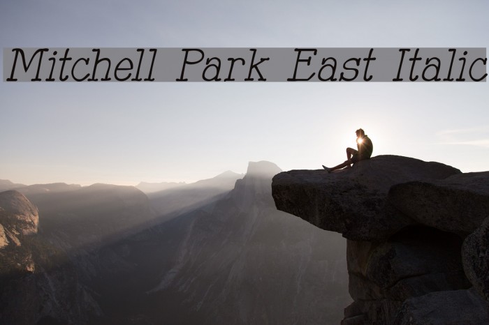 Mitchell Park East Italic Font examples