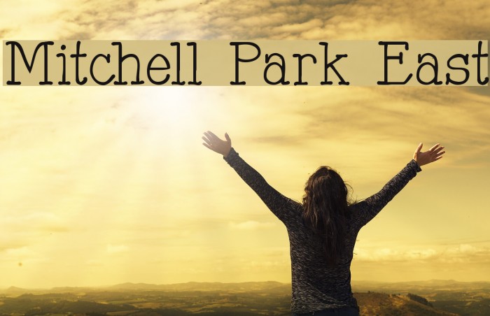 Mitchell Park East Font examples