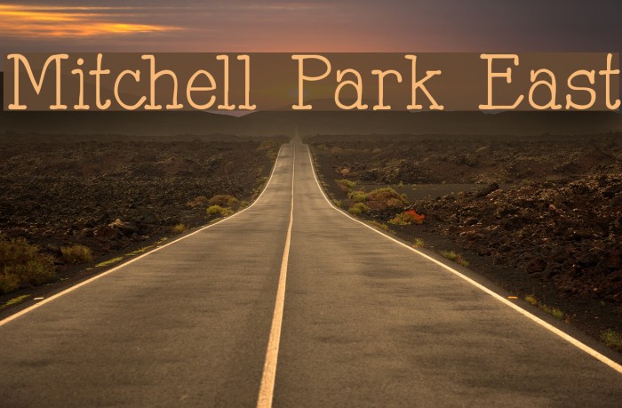 Mitchell Park East Font examples