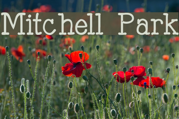 Mitchell Park Font examples