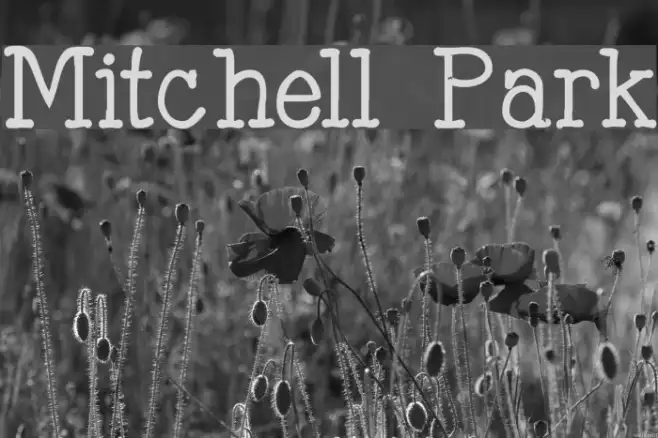 Mitchell Park Example 1