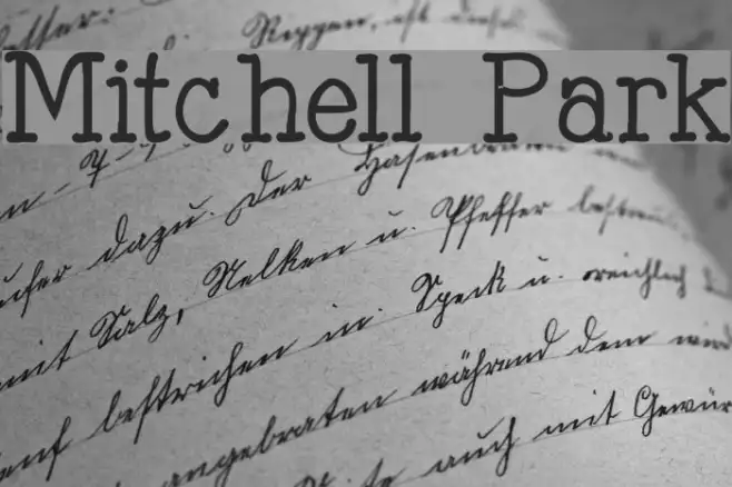 Mitchell Park Example 3