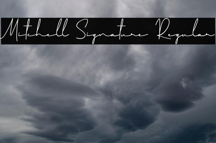 Mitchell Signature Regular Example 1