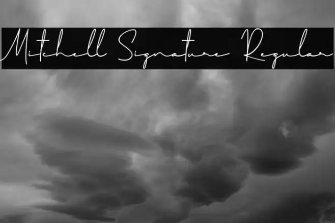 Mitchell Signature Regular Font examples