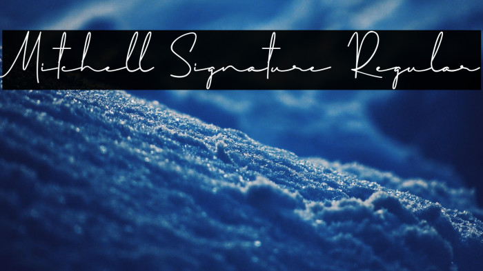 Mitchell Signature Regular Example 3