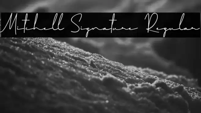 Mitchell Signature Regular Font examples