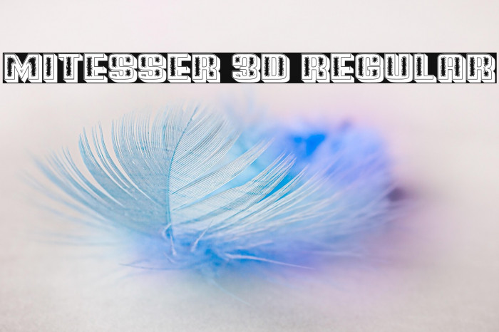 Mitesser 3D Regular Example 1