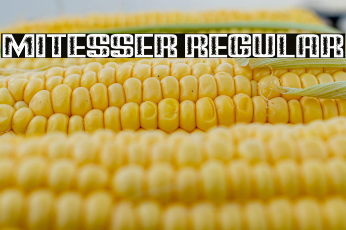 Mitesser Regular Example 1