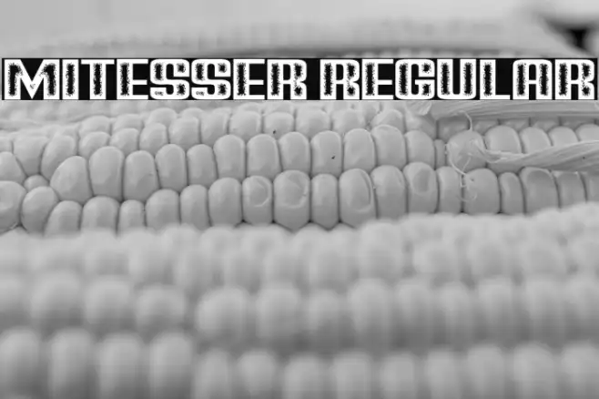 Mitesser Regular Example 1