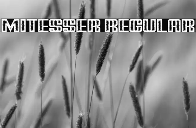 Mitesser Regular Example 2