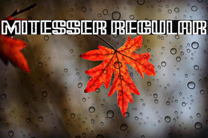 Mitesser Regular Example 3