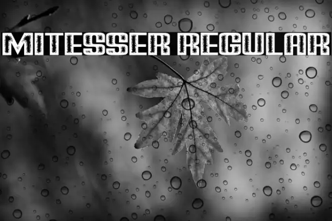 Mitesser Regular Example 3