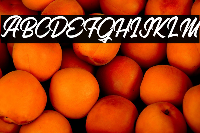 MithaScriptDEMO-Regular Example 1