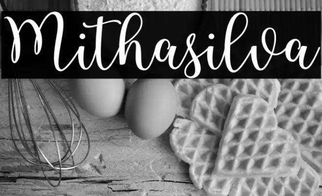 Mithasilva Example 1