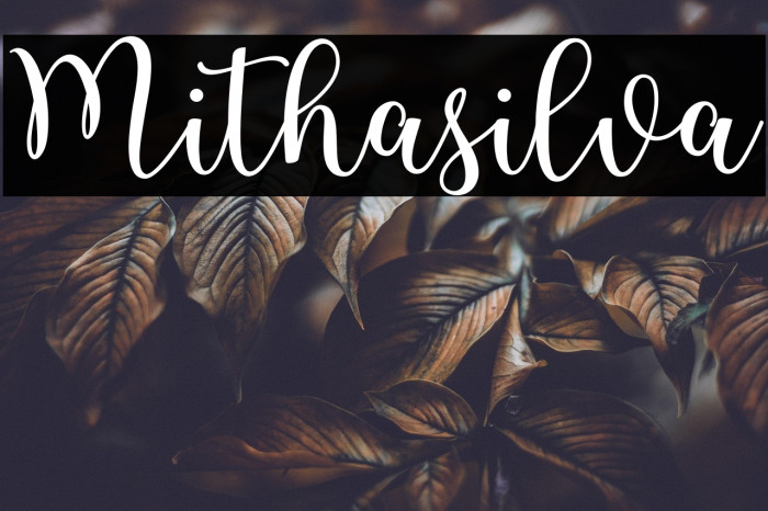 Mithasilva Example 2