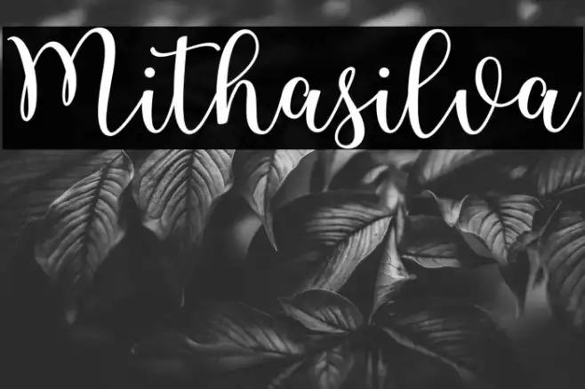 Mithasilva Example 2