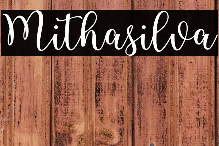 Mithasilva Example 3