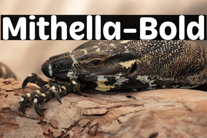 Mithella-Bold Example 2