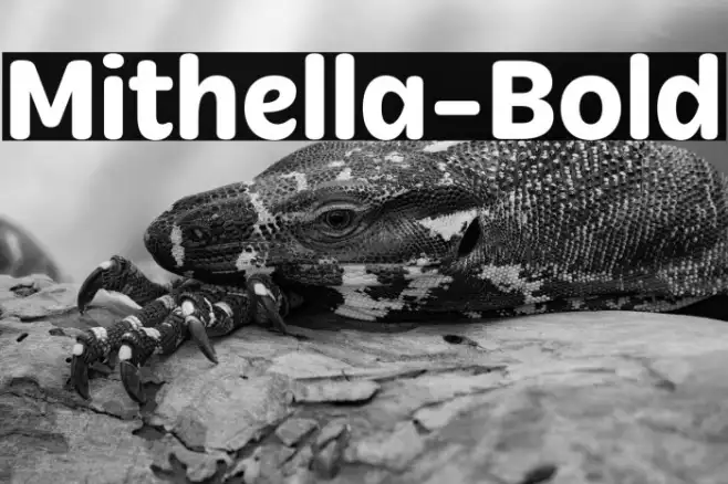 Mithella-Bold Example 2