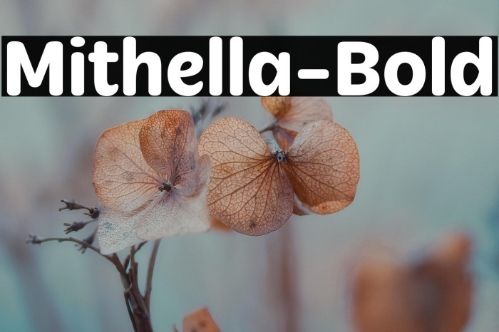 Mithella-Bold Example 3
