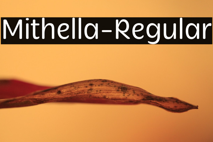 Mithella-Regular Example 2