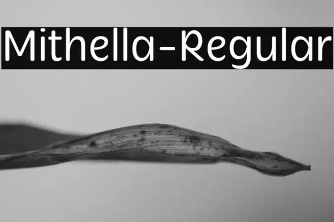 Mithella-Regular Example 2
