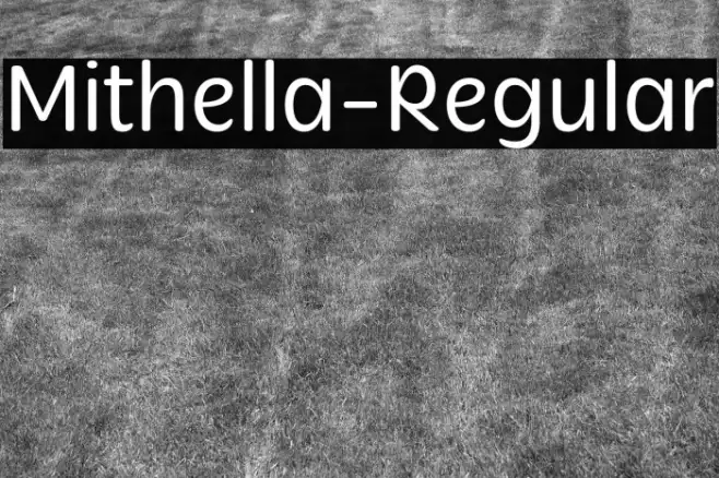 Mithella-Regular Example 3