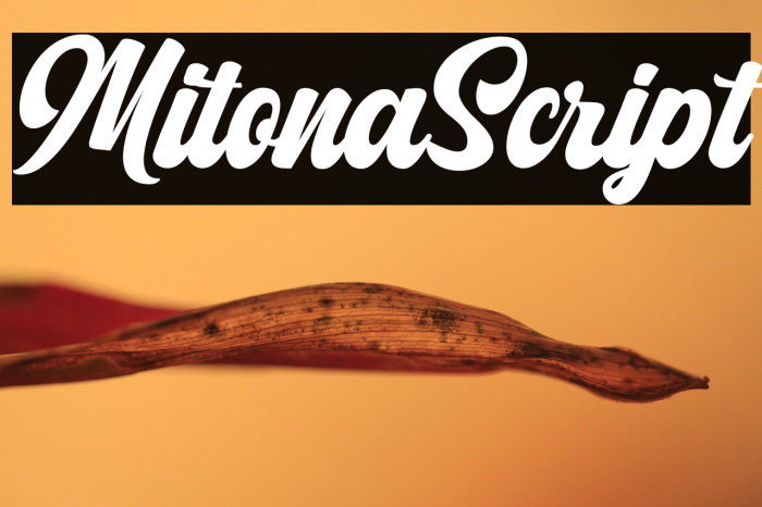 MitonaScript Example 3