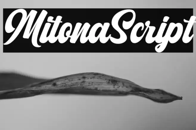 MitonaScript Example 3