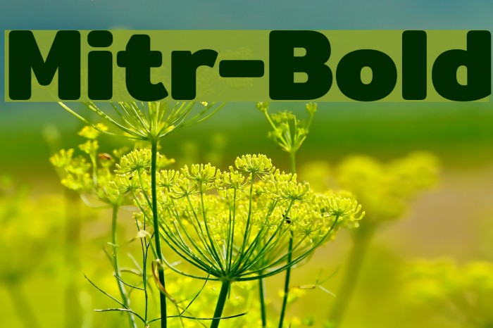 Mitr-Bold Font examples