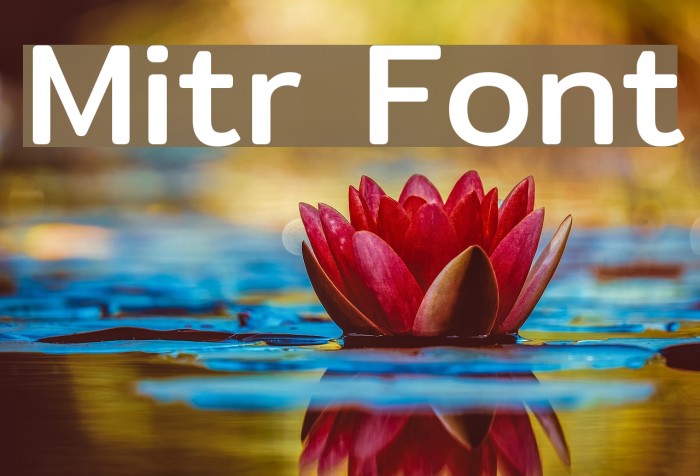 Mitr Polices examples
