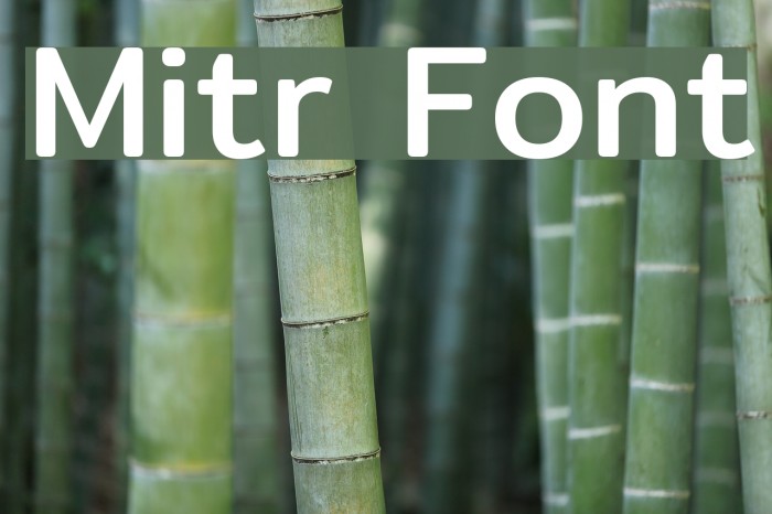 Mitr Polices examples