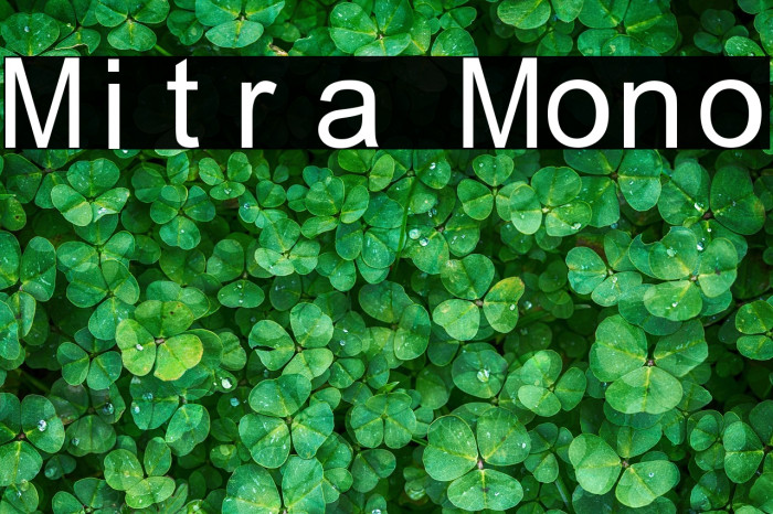 Mitra Mono Example 2