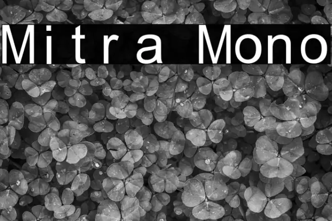 Mitra Mono Example 2