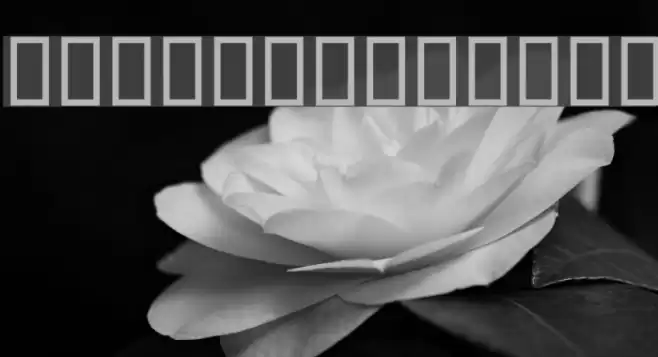 Mitraa Bold Font examples