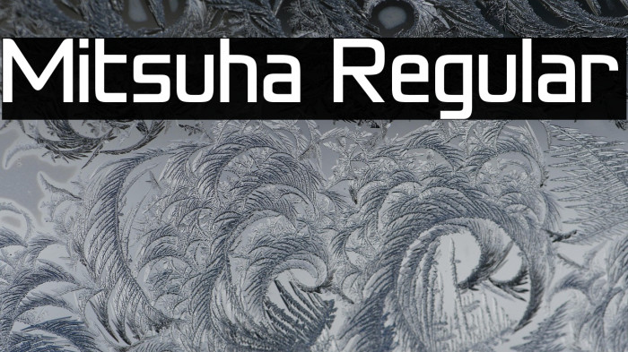Mitsuha Regular Example 1