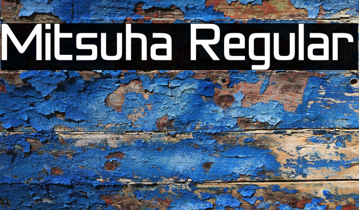 Mitsuha Regular Example 2