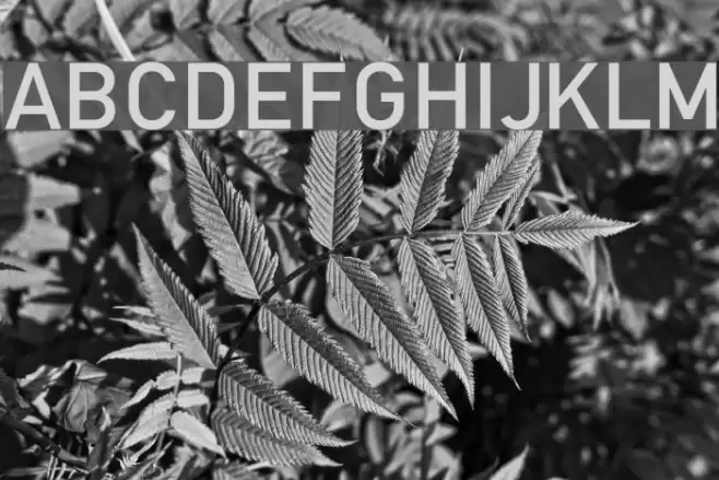 Mittleschrift Caps Font examples