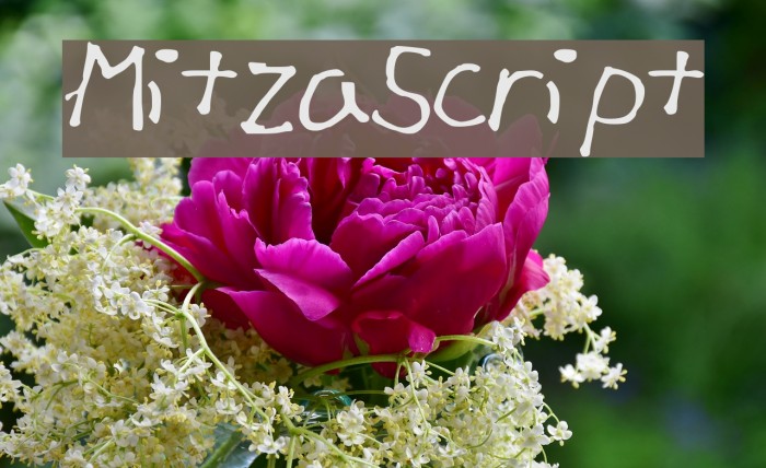 Mitza_Script Font examples