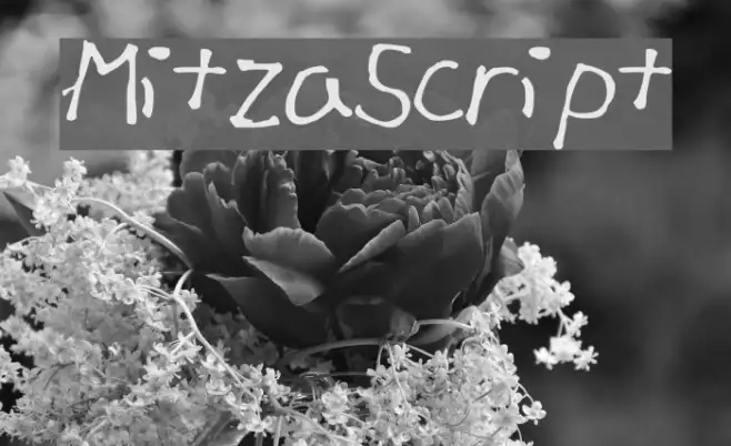 Mitza_Script Example 2