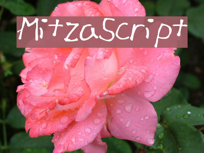 Mitza_Script Font examples