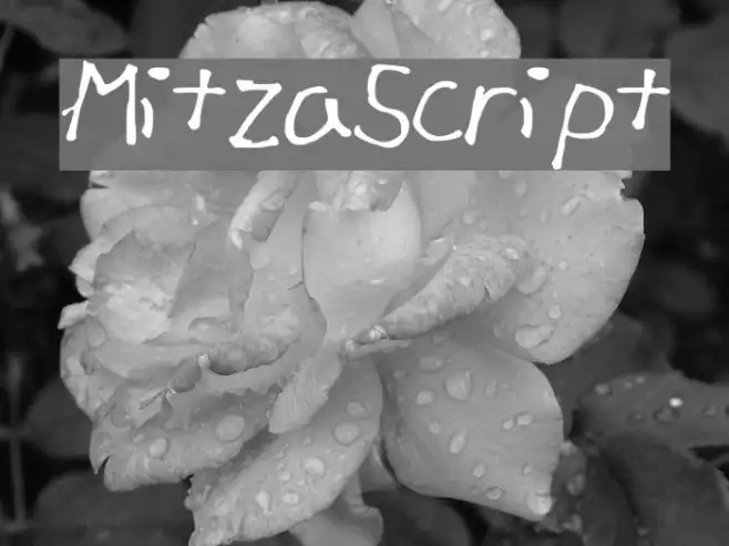 Mitza_Script Example 3