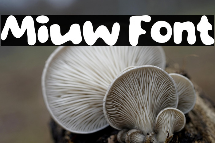 Miuw Fuentes examples