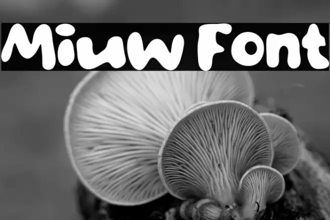 Miuw Caratteri examples