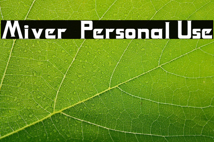 Miver - Personal Use Example 1