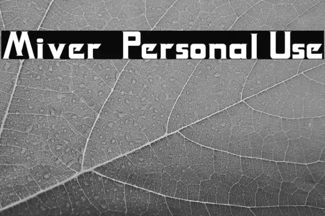 Miver - Personal Use Example 1