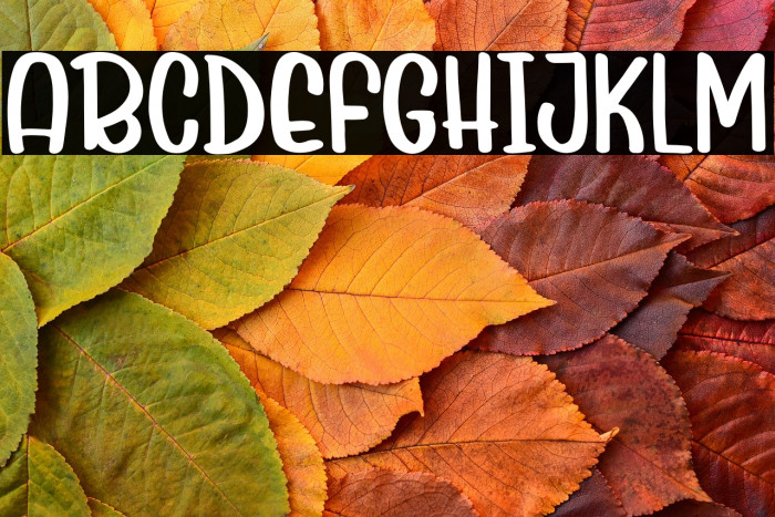 Mix Berries Example 1