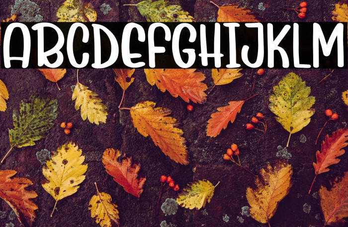 Mix Berries Example 2