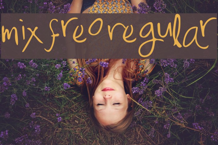 Mix Freo Regular Font examples