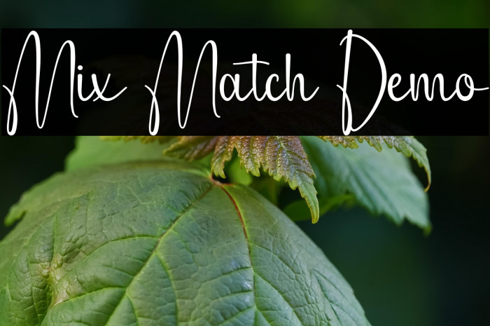 Mix Match Demo Example 3